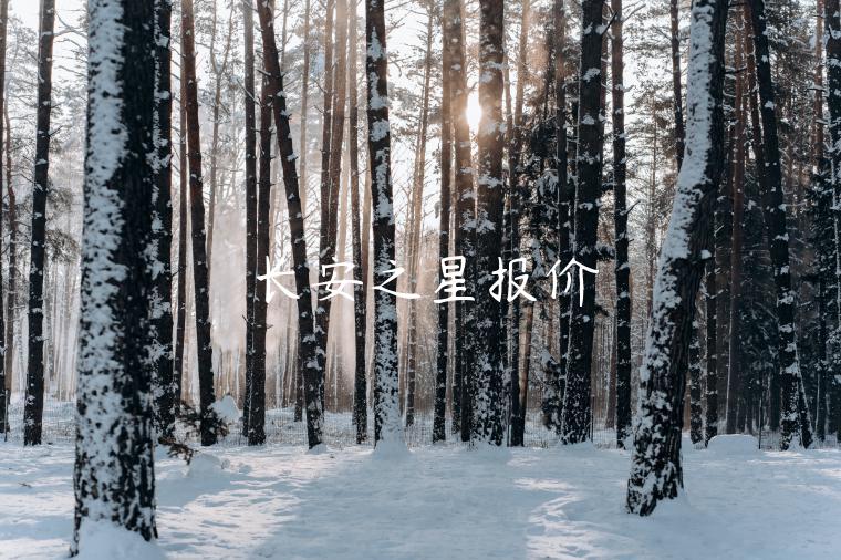 长安之星报价