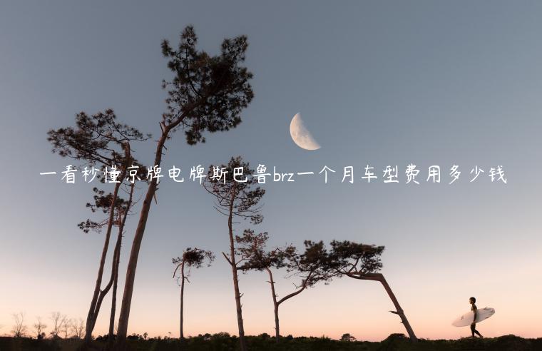 一看秒懂京牌电牌斯巴鲁brz一个月车型费用多少钱
