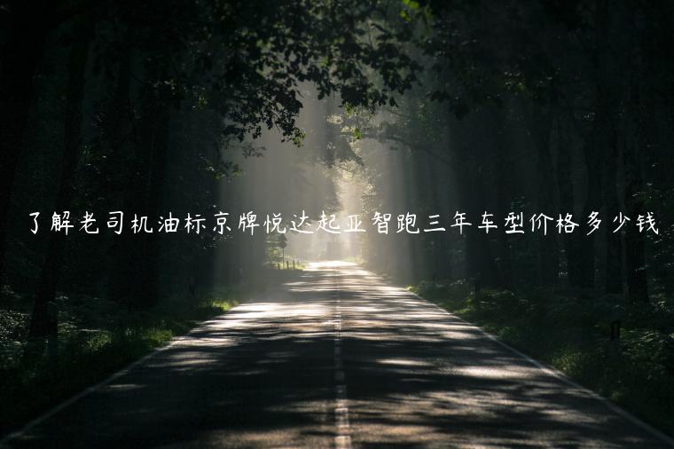 了解老司机油标京牌悦达起亚智跑三年车型价格多少钱