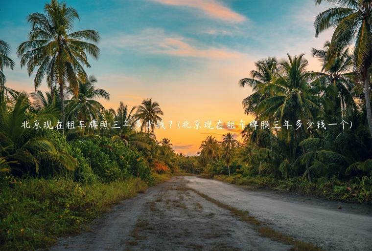 北京现在租车牌照三年多少钱？(北京现在租车牌照三年多少钱一个)