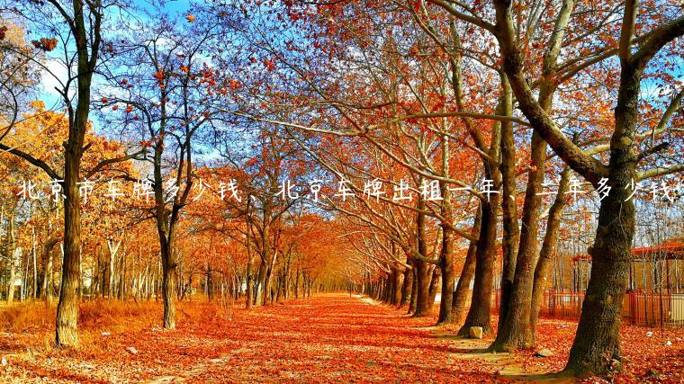 北京市车牌多少钱、北京车牌出租一年、二年多少钱