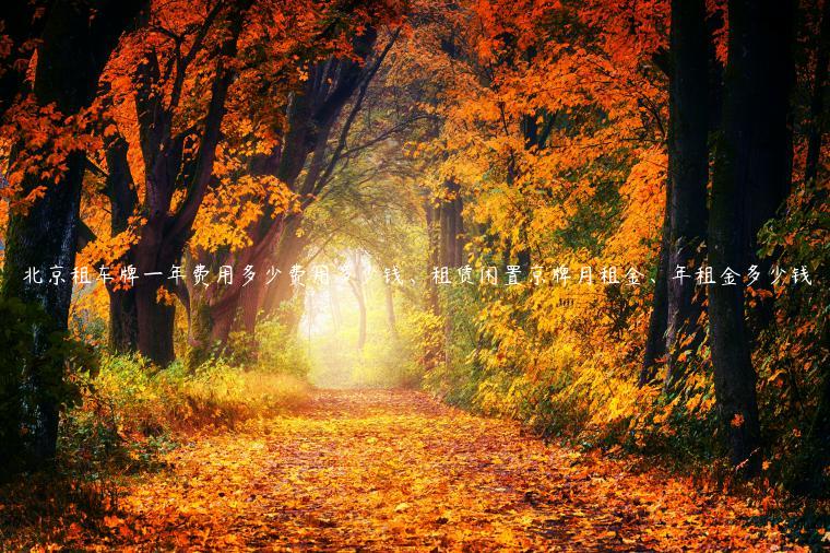 北京租车牌一年费用多少费用多少钱、租赁闲置京牌月租金、年租金多少钱