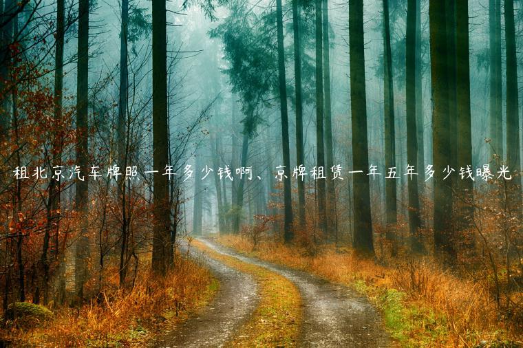 租北京汽车牌照一年多少钱啊、京牌租赁一年五年多少钱曝光