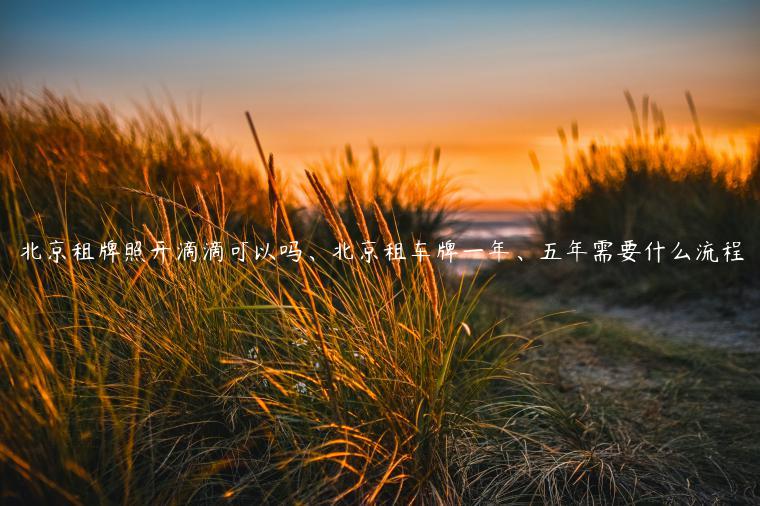 北京租牌照开滴滴可以吗、北京租车牌一年、五年需要什么流程