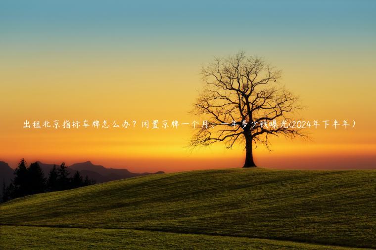 出租北京指标车牌怎么办？闲置京牌一个月、一年多少钱曝光(2024年下半年）