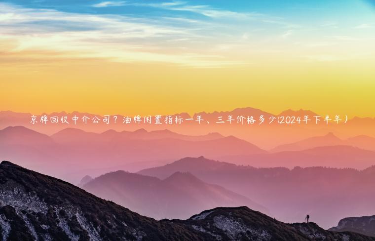 京牌回收中介公司？油牌闲置指标一年、三年价格多少(2024年下半年）