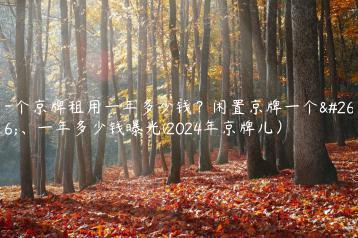 一个京牌租用一年多少钱？闲置京牌一个月、一年多少钱曝光(2024年京牌儿）