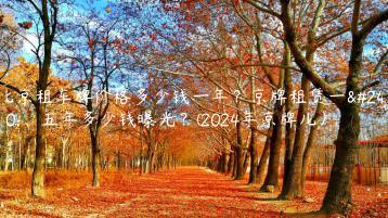 北京租车牌价格多少钱一年？京牌租赁一年、五年多少钱曝光？(2024年京牌儿）