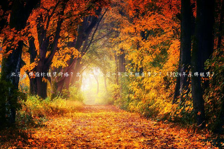 北京京牌指标租赁价格？出租京牌公司一年三年租金多少？（2024年京牌租赁）
