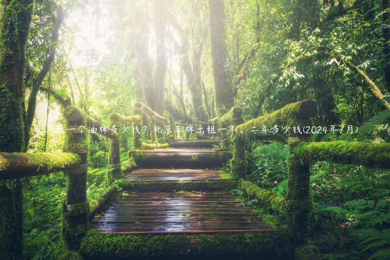 北京租一个油牌多少钱？北京车牌出租一年、二年多少钱(2024年7月)