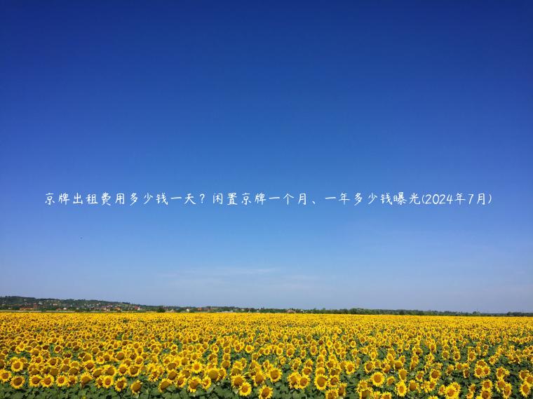 京牌出租费用多少钱一天？闲置京牌一个月、一年多少钱曝光(2024年7月)