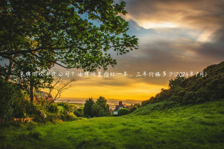 京牌回收中介公司？油牌闲置指标一年、三年价格多少(2024年7月)