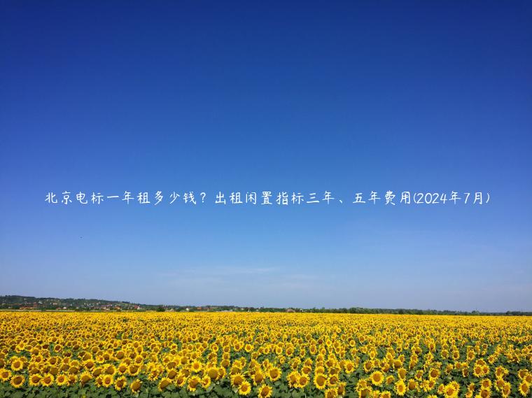 北京电标一年租多少钱？出租闲置指标三年、五年费用(2024年7月)