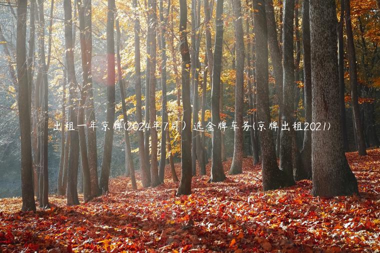出租一年京牌(2024年7月）选金牌车务(京牌出租2021)