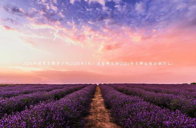 2024年租赁京牌多少钱(2024年7月）选金牌车务(2021年京牌出租会涨价么)