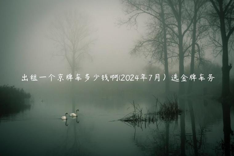 出租一个京牌车多少钱啊(2024年7月）选金牌车务