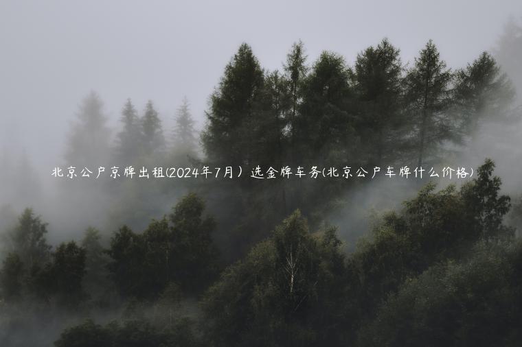 北京公户京牌出租(2024年7月）选金牌车务(北京公户车牌什么价格)