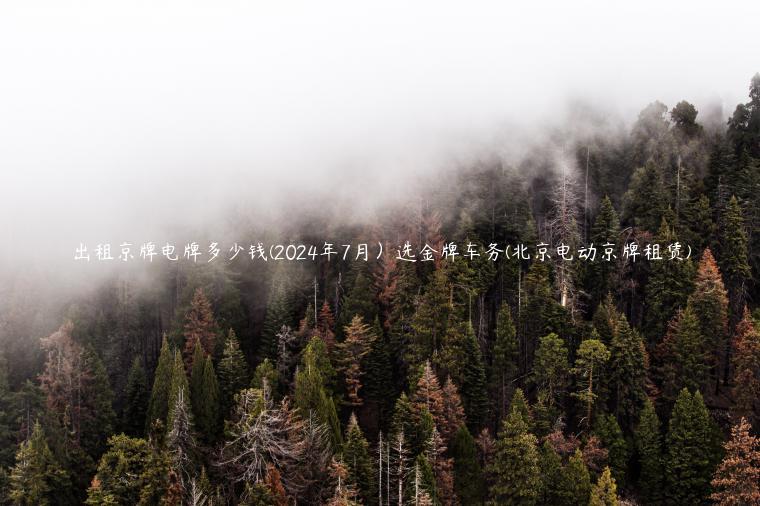 出租京牌电牌多少钱(2024年7月）选金牌车务(北京电动京牌租赁)