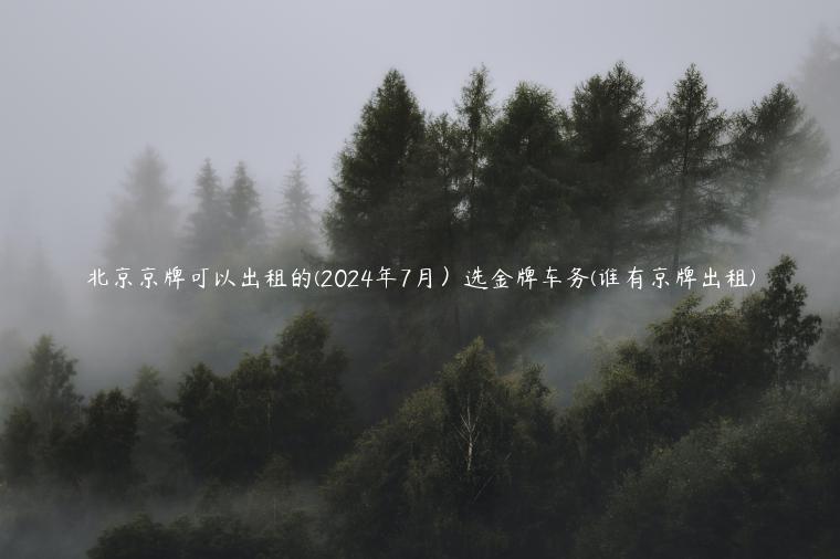 北京京牌可以出租的(2024年7月）选金牌车务(谁有京牌出租)