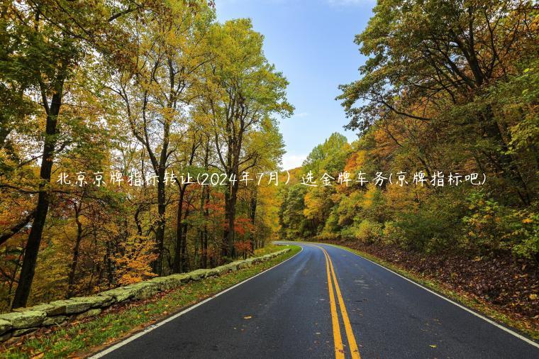 北京京牌指标转让(2024年7月）选金牌车务(京牌指标吧)