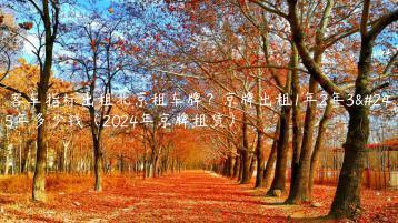 小客车指标出租北京租车牌？京牌出租1年2年3年5年多少钱（2024年京牌租赁）