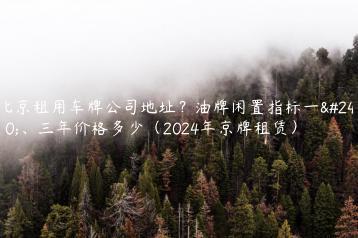 北京租用车牌公司地址？油牌闲置指标一年、三年价格多少（2024年京牌租赁）