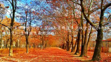 北京租个京牌中介公司？2024年京牌值多少钱呀（2024年京牌租赁）(京牌租赁最新价格)