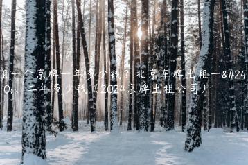 租一个京牌一年多少钱？北京车牌出租一年、二年多少钱（2024京牌出租公司）