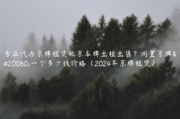 专业代办京牌租赁北京车牌出租出售？闲置京牌买一个多少钱价格（2024年京牌租赁）
