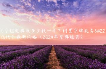 北京租电牌照多少钱一年？闲置京牌能卖多钱？最新价格（2024年京牌租赁）
