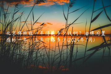 北京牌照租一年得花多少钱啊？油牌闲置指标一年、三年价格多少(2024年7月)