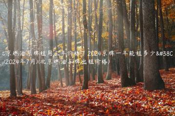 北京燃油京牌租用三年价格？2024京牌一年能租多少钱(2024年7月)(北京燃油车牌出租价格)