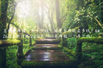 京牌车牌租一年多少钱？闲置京牌能卖多钱？最新价格(2024年7月)(京牌租一个多少钱)