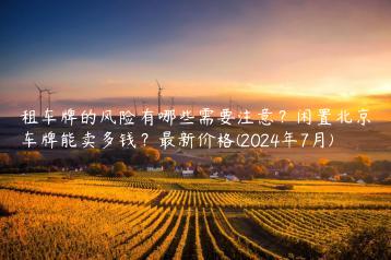 租车牌的风险有哪些需要注意？闲置北京车牌能卖多钱？最新价格(2024年7月)