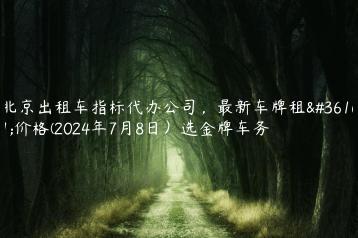 北京出租车指标代办公司，最新车牌租赁价格(2024年7月8日）选金牌车务