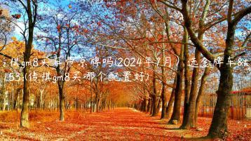 传祺gm8买车带京牌吗(2024年7月）选金牌车务(传祺gm8买哪个配置好)