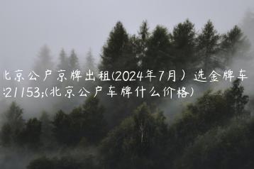 北京公户京牌出租(2024年7月）选金牌车务(北京公户车牌什么价格)