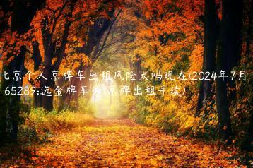 北京个人京牌车出租风险大吗现在(2024年7月）选金牌车务(京牌出租手续)