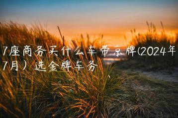 7座商务买什么车带京牌(2024年7月）选金牌车务