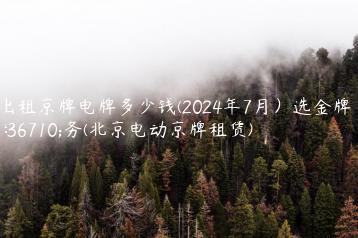 出租京牌电牌多少钱(2024年7月）选金牌车务(北京电动京牌租赁)