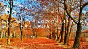 北京二手皮卡车带京牌(2024年7月）选金牌车务(北京二手皮卡上牌政策)