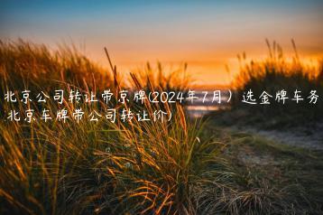 北京公司转让带京牌(2024年7月）选金牌车务(北京车牌带公司转让价)