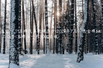 出租一个京牌汽车能赚多少(2024年7月）选金牌车务(京牌车一月3000出租)