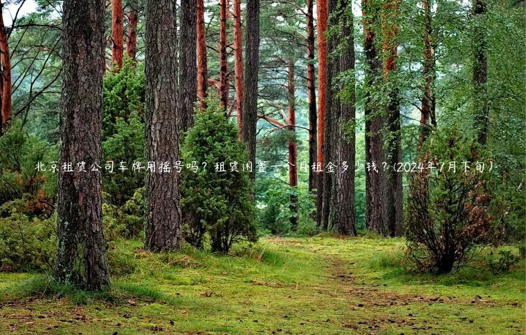 北京租赁公司车牌用摇号吗？租赁闲置一个月租金多少钱？(2024年7月下旬）