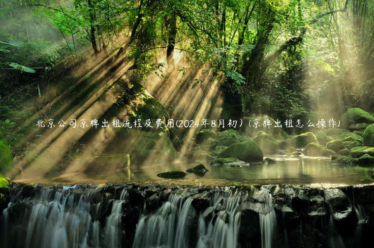 北京公司京牌出租流程及费用(2024年8月初）(京牌出租怎么操作)