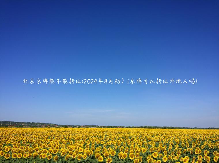北京京牌能不能转让(2024年8月初）(京牌可以转让外地人吗)
