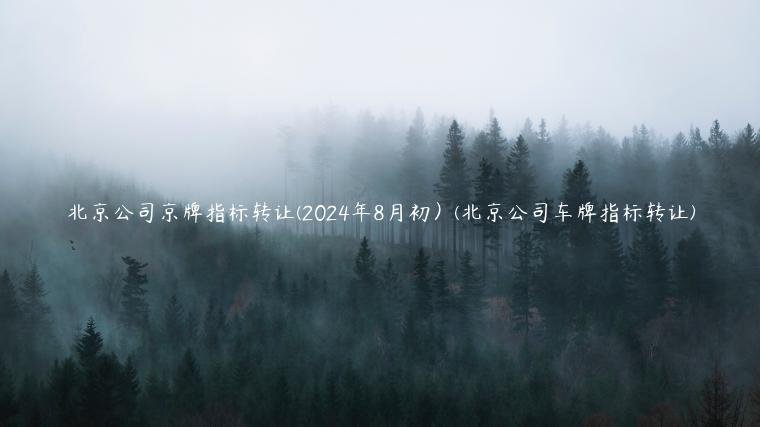 北京公司京牌指标转让(2024年8月初）(北京公司车牌指标转让)