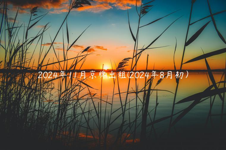 2024年11月京牌出租(2024年8月初）
