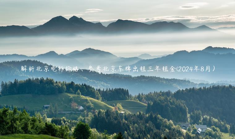 解析北京电标价格、参考北京车牌出租三年租金(2024年8月）