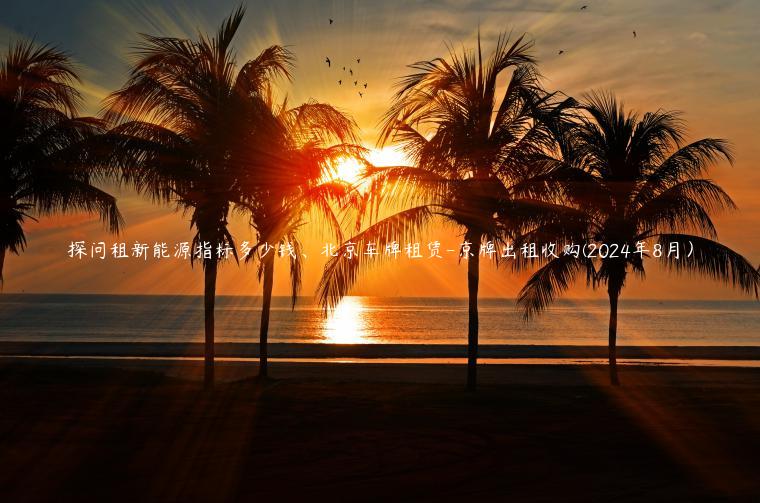 探问租新能源指标多少钱、北京车牌租赁-京牌出租收购(2024年8月）